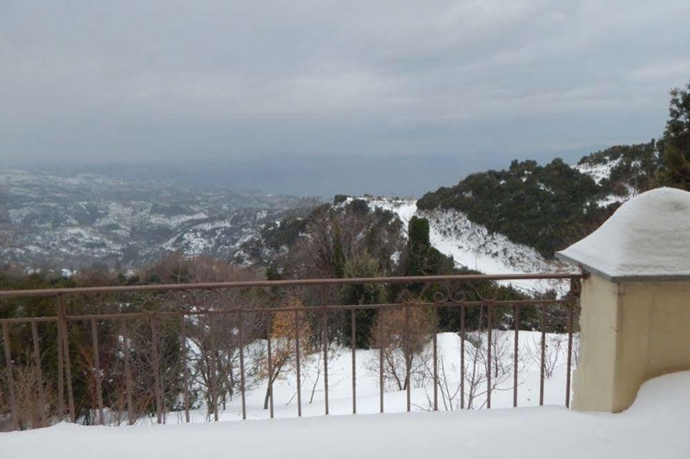 Rastoni Pelion Hotel วิซิตซา ภายนอก รูปภาพ