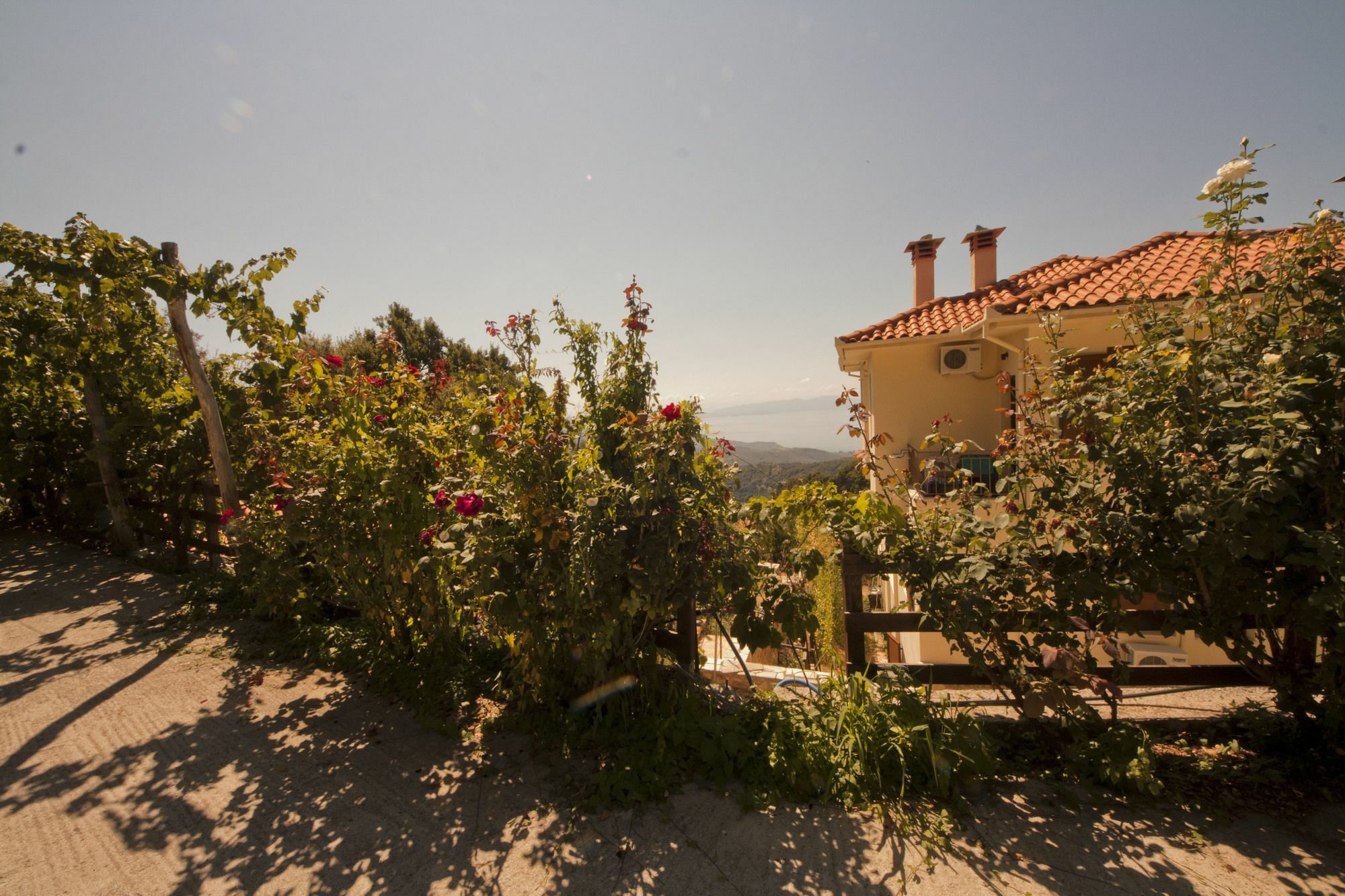 Rastoni Pelion Hotel วิซิตซา ภายนอก รูปภาพ